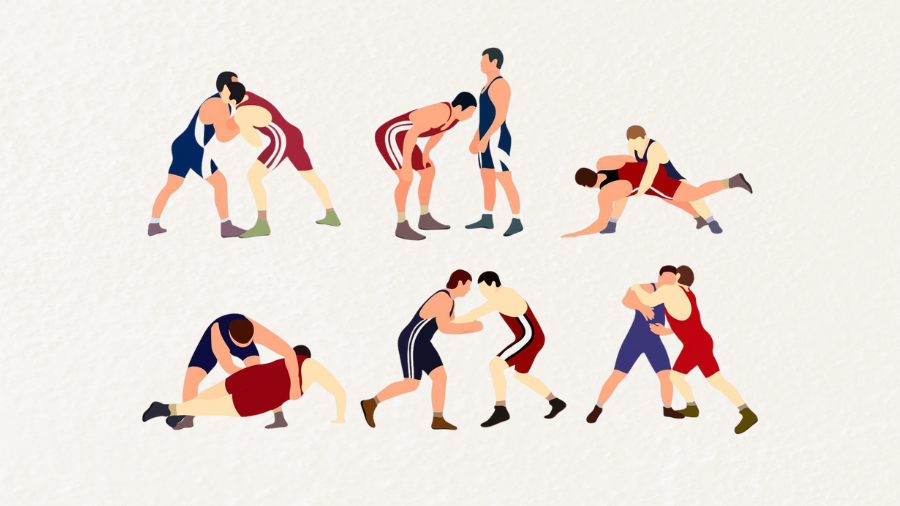 A New Arena for Wrestling: Trimurti College to Host District-Level Games